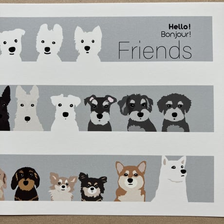 Friends 大判葉書