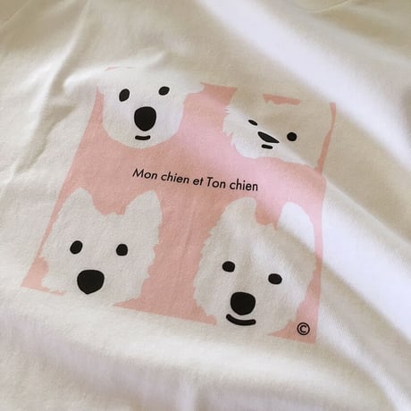 8周年SALE  Ladies Tシャツ ウェスティベーシック