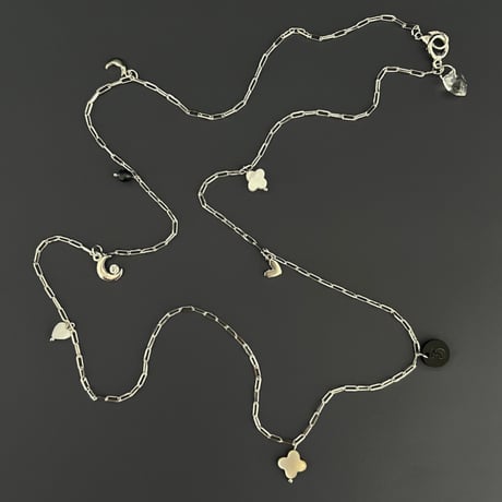 C１【限定１点】Gioia Chain Necklace (silver)