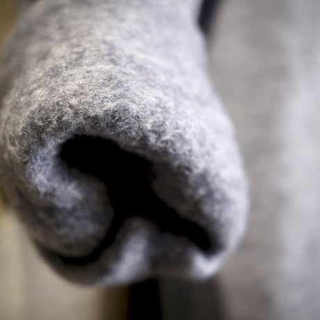 yetina / pullover hoody classic