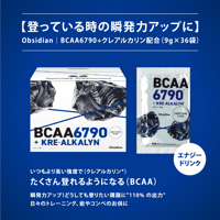 BCAA 6790 +KREALKALYN | Obsidian