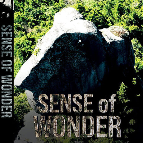 SENSE OF WONDER(DVD版)