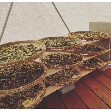 Howlett Farm・ブルーベリーの葉のお茶【ネイテイブアメリカンの伝統茶】