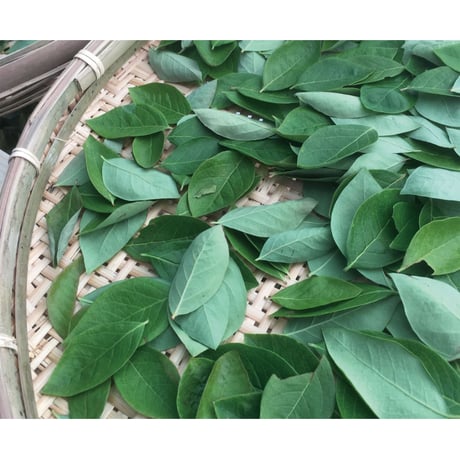 Howlett Farm・ブルーベリーの葉のお茶【ネイテイブアメリカンの伝統茶】