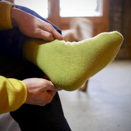 yetina / antarctica socks