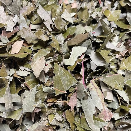 Howlett Farm・ブルーベリーの葉のお茶【ネイテイブアメリカンの伝統茶】