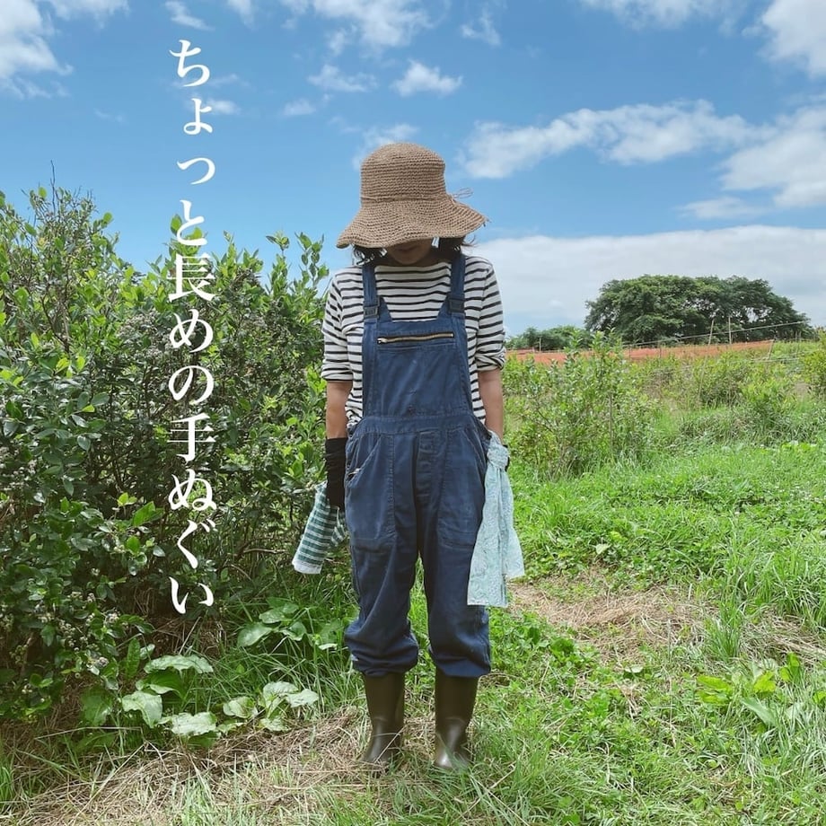 6893bc256891197fe305e8d8