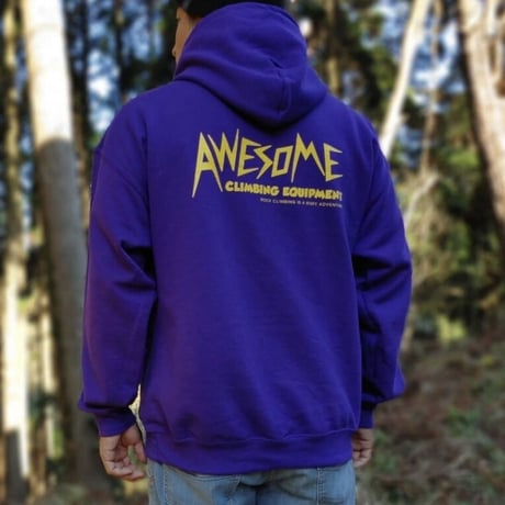 MASTERS HOODIE