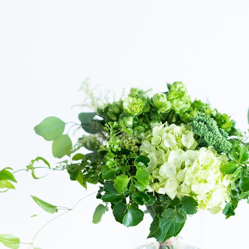 グリーンブーケ | Juillet online shop