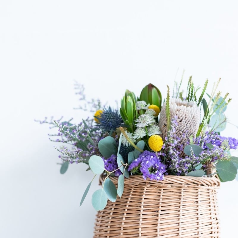 バンクシアのアレンジ | Juillet online shop