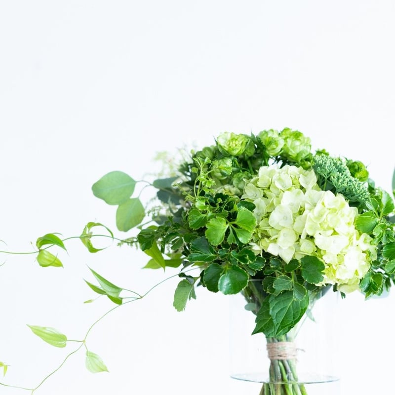 グリーンブーケ | Juillet online shop