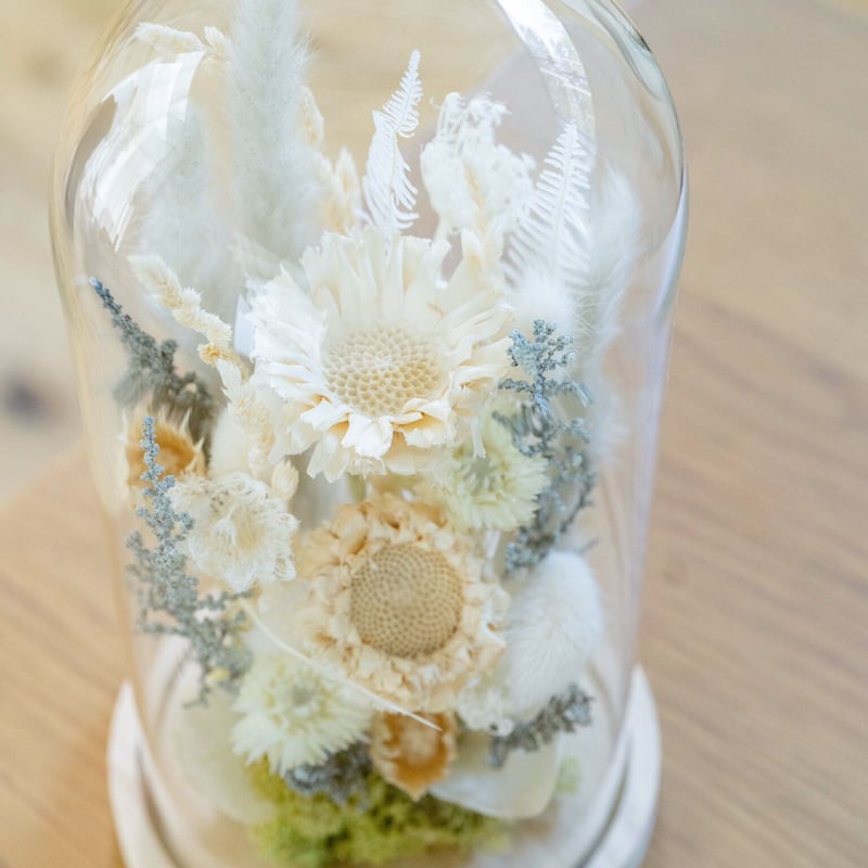 ガラスドーム ドライフラワーアレンジメント White | Juillet onlin