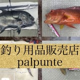 palpunte motor