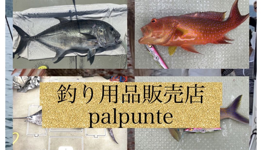 palpunte motor