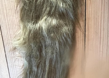【mkbオリジナル】　Shrimp Hair Long　シュリンプヘア・ロング