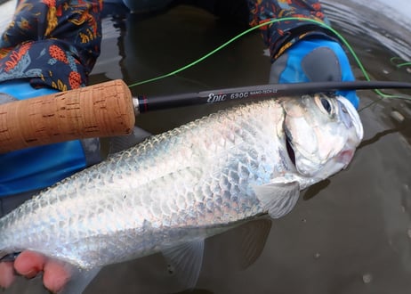 EPIC　690G Fly Rod【リファレンス】