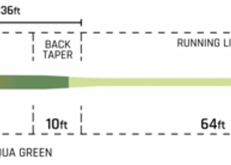 コートランド フライライン コンパクトインターミディエイト6/7 コートランド バス・インターミディエイト フライライン | mkb