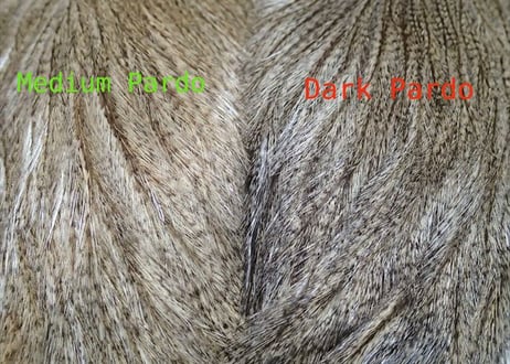 Whiting hackle   ホワイティング　ハックル