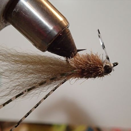 クロダイ | STORES