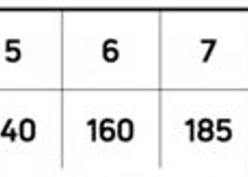 コートランド 444 Classic SL フライライン | mkb outfitters