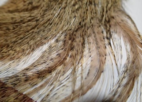Whiting hackle   ホワイティング　ハックル