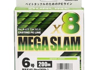 バッキングライン　サンライン・ソルティメイトX8