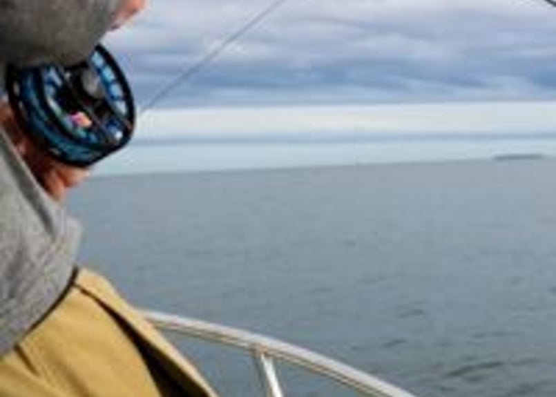 エコー　バッドアス　グラス　９ｆｔ１０番　海フライ エコー バッドアス グラス 9ft10番 海フライ ECHO Fly Rod