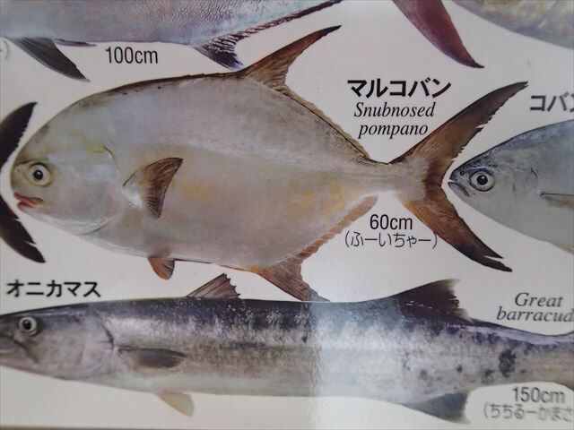 魚　ポスター　漁方 おきなわの魚ポスター | mkb outfitters