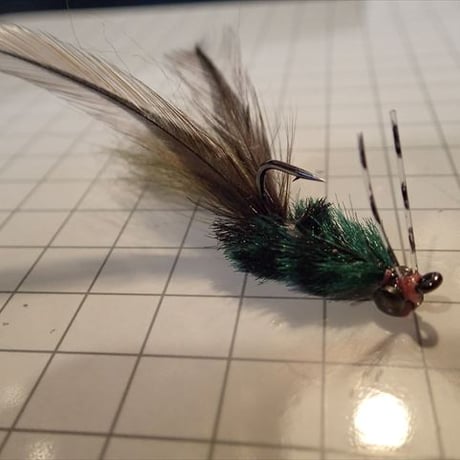 クロダイ | STORES