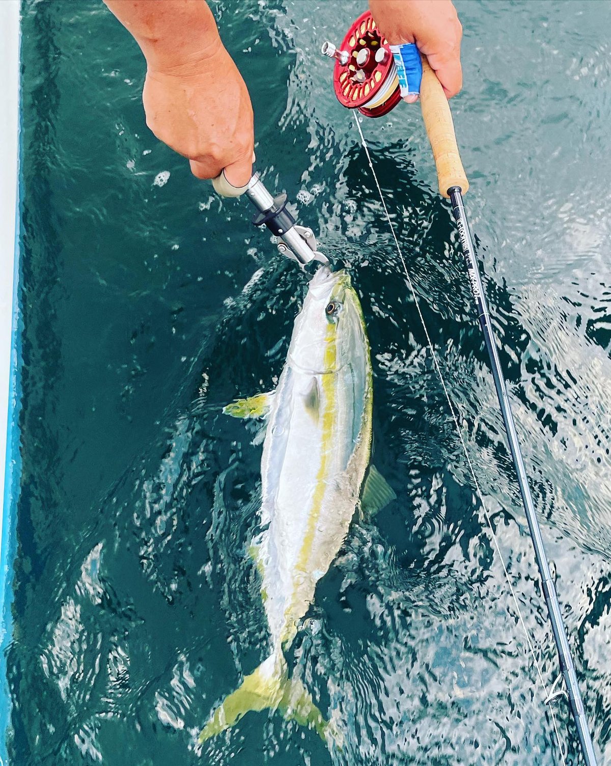 G.Loomis IMX-PRO V2S / SALTWATER フライロッド | mkb o G.Loomis IMX-PRO V2S / SALTWATER フライロッド | mkb o