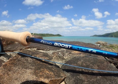 エコー　バッドアス　グラス　９ｆｔ１０番　海フライ エコー バッドアス グラス 9ft10番 海フライ エコー バッドアス