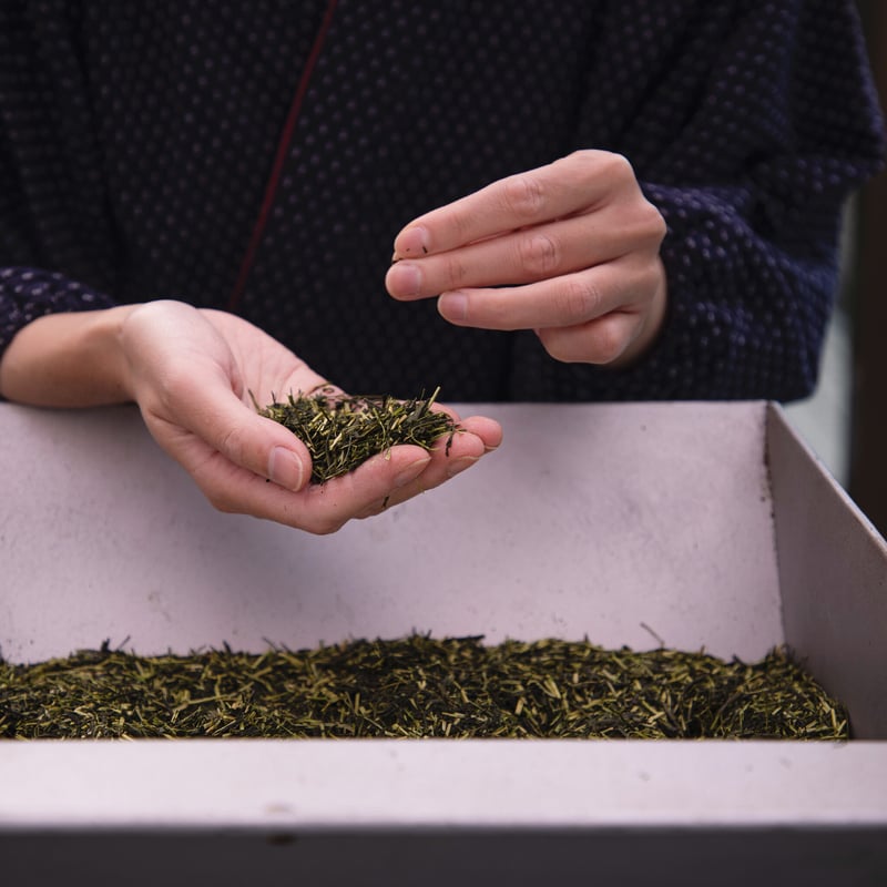 ほうじ茶ページ 土倉のほうじ茶 500ml ペットボトル｜お茶の土倉・土熊 公式通販