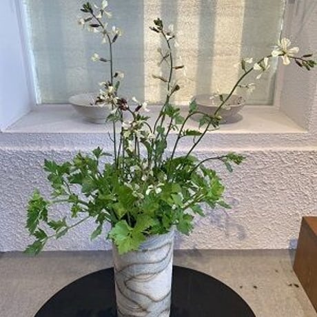 花生け | STORES
