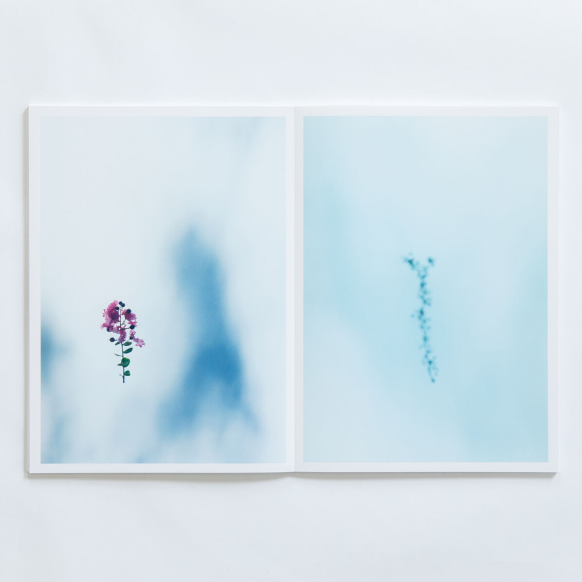 野口恵太　FLOWER 野口恵太 FLOWER FLOWER / 野口恵太 Keita Noguchi - books used and