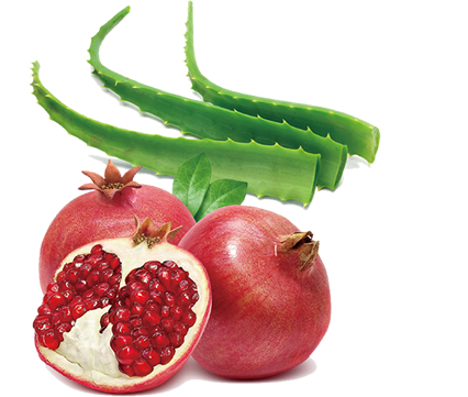 キララ❣️様 VOS3点セット ブリリアントレフィル キララ❣️様 VOS3点