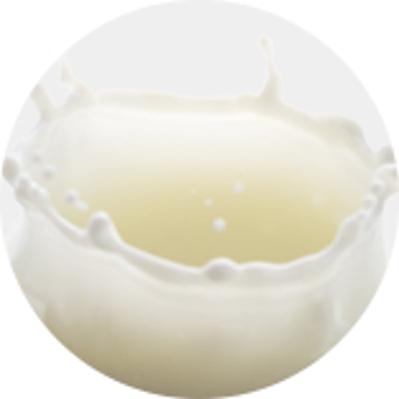 aut WhirlFade クリームファンデーション 8本セット 楽天市場】WF（クリームファンデーション｜ファンデーション