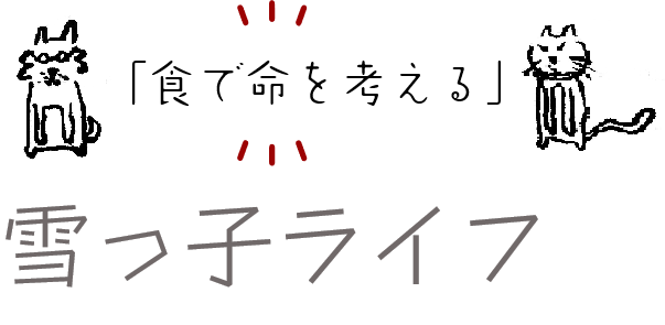 雪っ子ライフ