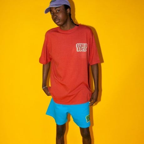 『SK8ER ROCK』 　3D ロゴ半袖 Tシャツ (Brick)