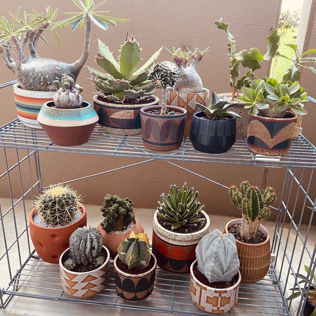 BKB セラミックス◆Zig/Zag◆RMシリーズ 　鉢　プランター BKB セラミックス◇Zig/Zag◇RMシリーズ 鉢 プランター すべての商品