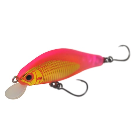 アレキサンドラ43FS WEB限定カラー