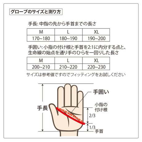 パームス フィネスグローブ