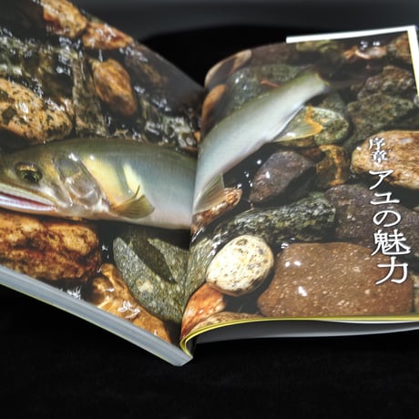飯田重祐（著）　つり人社 「鮎をルアーで釣る。トラウティストが切り拓く新世界」