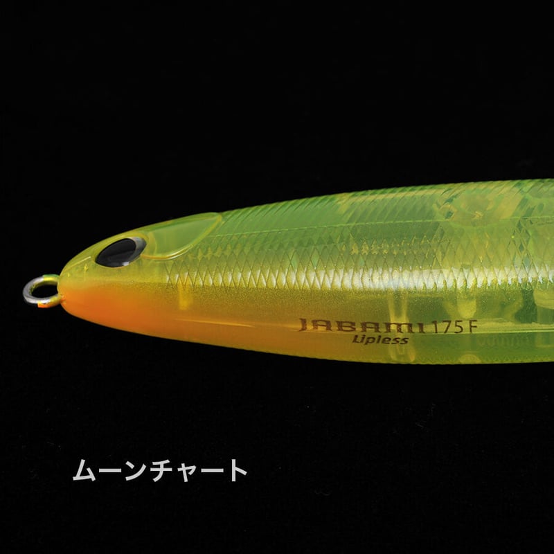 Web Shop限定カラー＞ジャバミリップレス175F 実績の湘南スペシャル