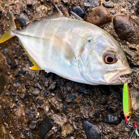 0.9g～14gのワイドバリエーション！ビットアーツ ミニチュアダックス