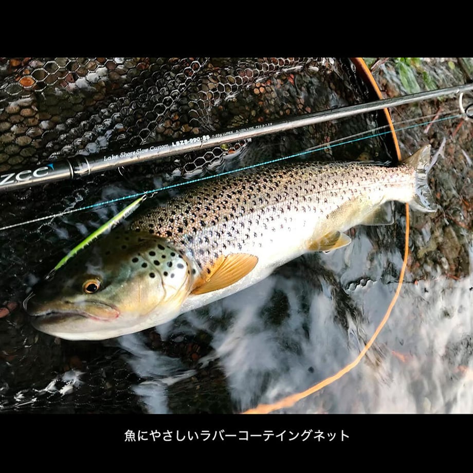 6154c82dacbcb04495036e06