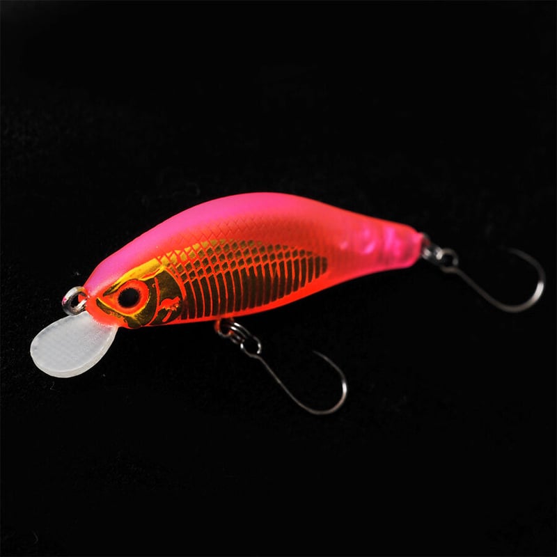 アレキサンドラ43FS WEB限定カラー | PALMS ONLINE SHOP