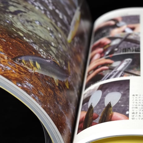 飯田重祐（著）　つり人社 「鮎をルアーで釣る。トラウティストが切り拓く新世界」