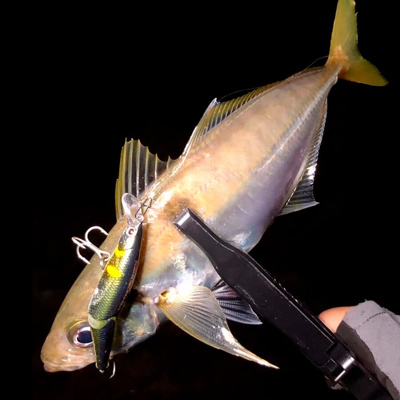 ビットアーツ ミルドレッドソルト58JS ＜シンキング, 58mm, 4.5g