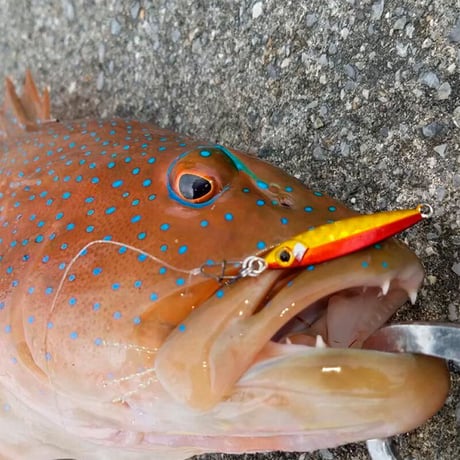 0.9g～14gのワイドバリエーション！ビットアーツ ミニチュアダックス