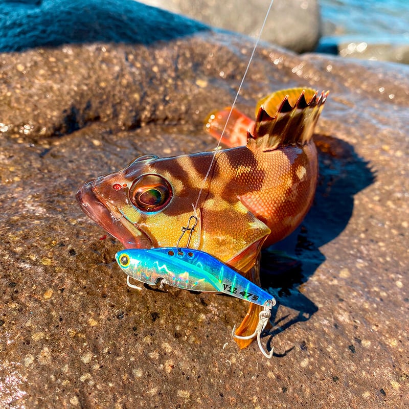 バイブレーションセット Amazon.co.jp: 6色メタルバイブレーション セットセット VIB